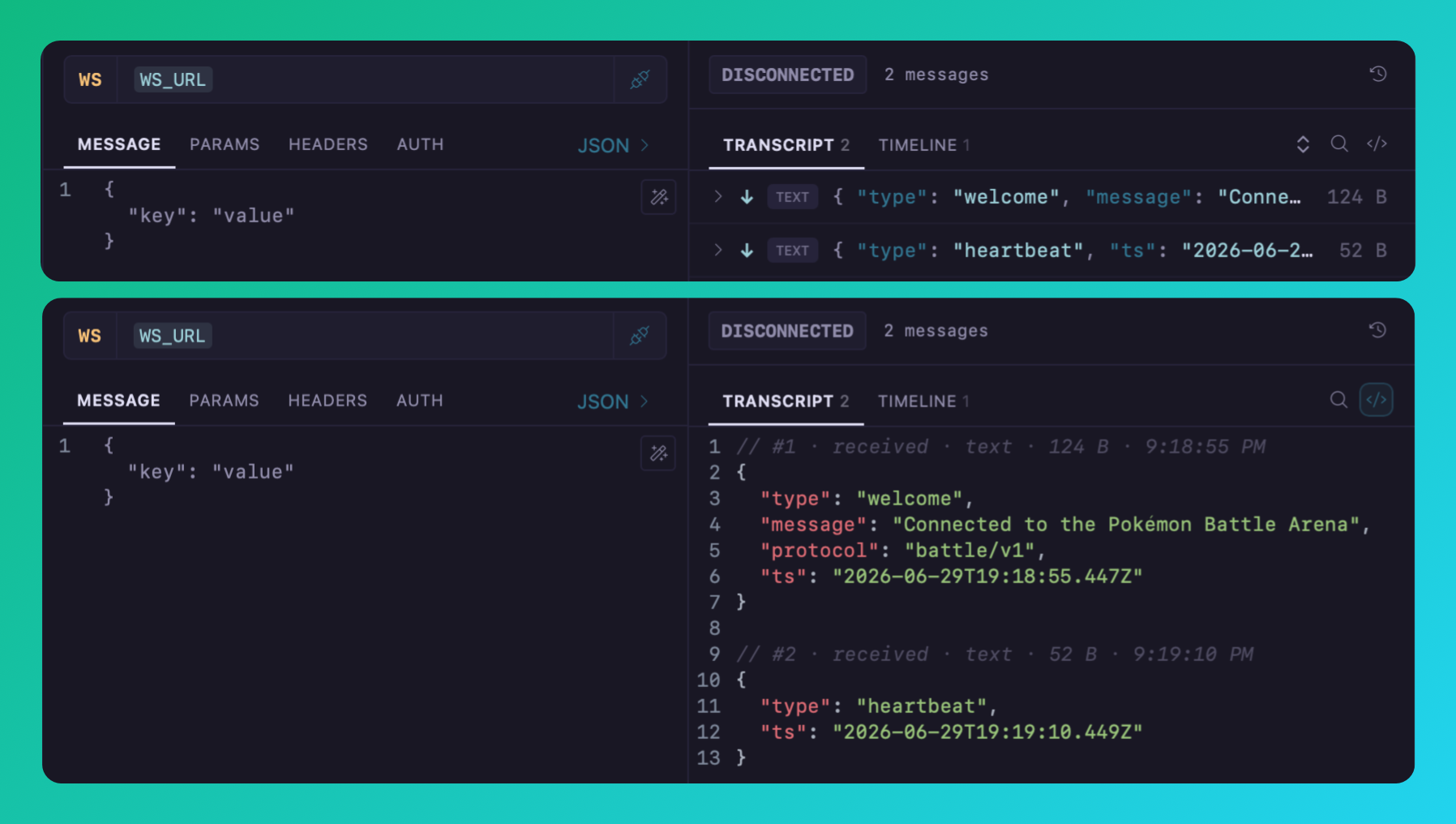 The transcript view for a WebSocket connection